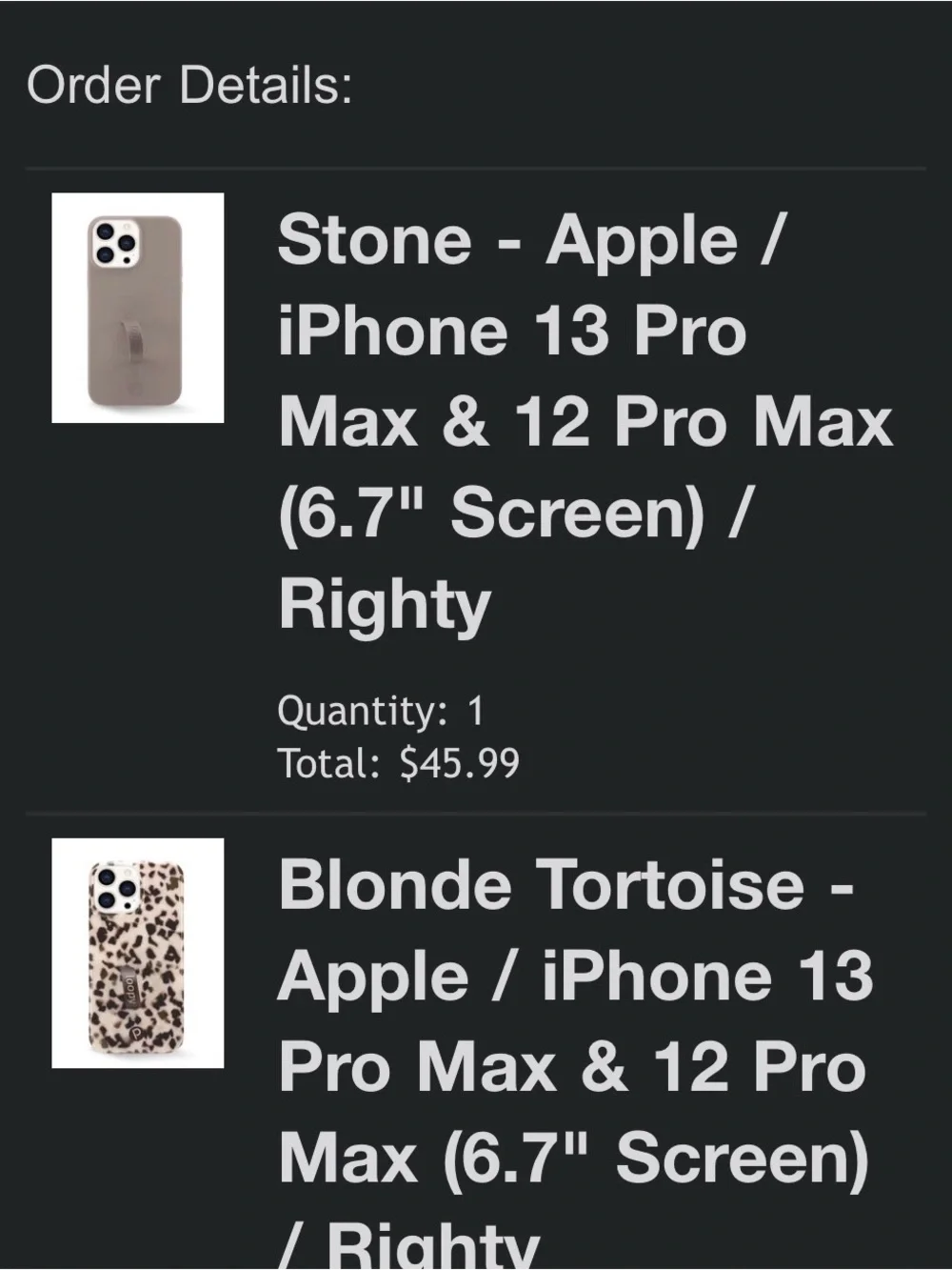 Stone Loopy Case for iPhone 12 & 13 pro max